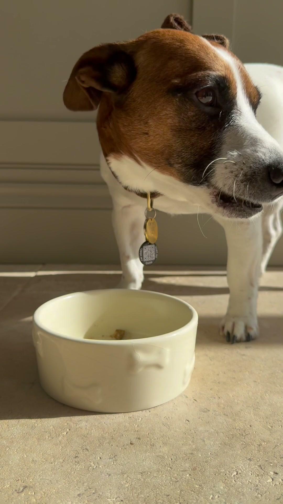 Barney with Fortis cold-pressed fish